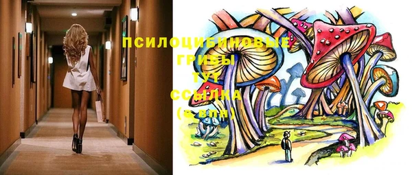 гашик Новокубанск