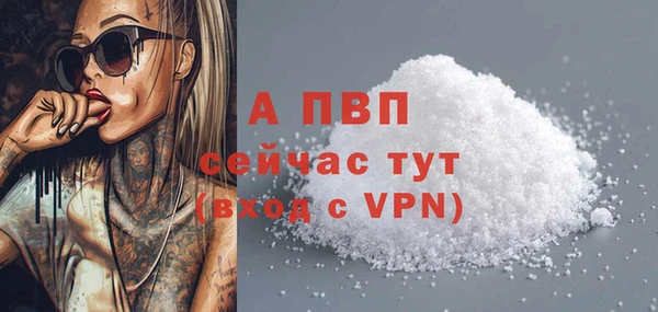 гашик Новокубанск