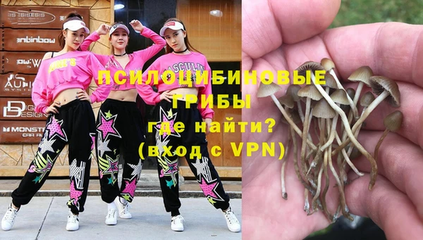COCAINE Новодвинск